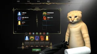 猫Meme大战