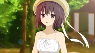 Misohagi Crossing
