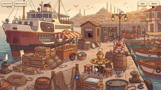Istanbul Cats