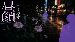 昼顔(ひるがお)