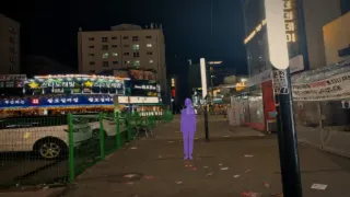 昼顔(ひるがお)