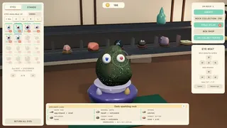 Pet Rock Workshop