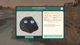 Pet Rock Workshop
