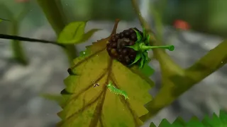 The Untimely Death of Mildred the Caterpillar