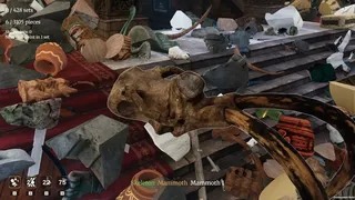 Museologist: Tidy Up the Museum!