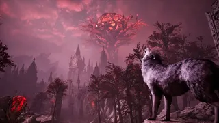 Stray Dog: nobody cares