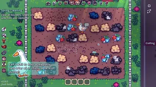 Quackyard