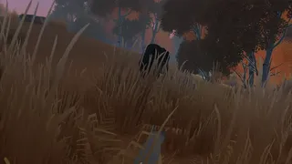 Blackpaw