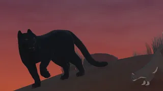 Blackpaw