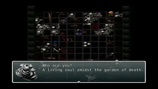 Under the dead sun