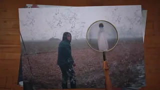 阴阳鉴