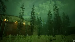 Fallen Forest: Echoes Within