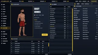 MMA Sim King