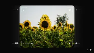Evertrail