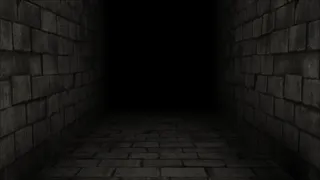 Within The Experiments