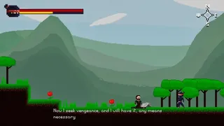 Ninja's Vengeance