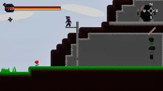 Ninja's Vengeance