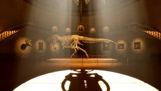 Museum 8