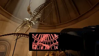 Museum 8