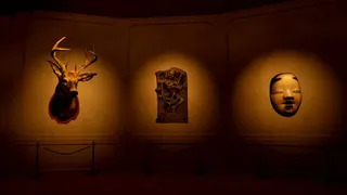 Museum 8