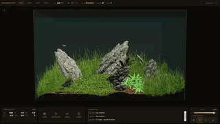 Shrimpscape