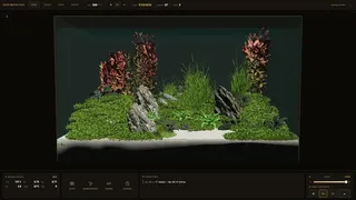 Shrimpscape
