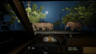 Night Drive - Anomaly