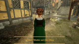 Скриншот 5 к игре The Medieval Journey