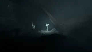 JELLYFISH