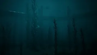 JELLYFISH