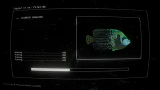 What Lies Beneath