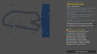 Backmarkers: A Racing Management Sim