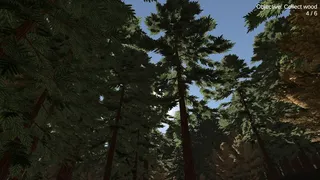 The Mannequin Forest