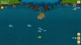 A Cat's Little Pond