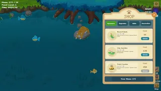 A Cat's Little Pond