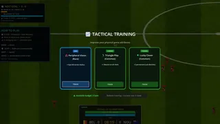 Football Cup Survivor