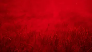 Ravenhill: Initiation