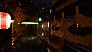 The Ramen Bar