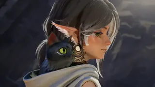 伊始之猫