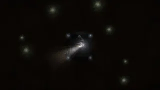 Blackbeam