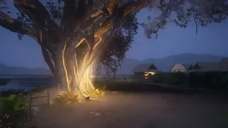 August Star | Sao tháng Tám