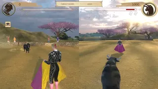 TORO 2