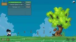 Shuriken Maestro