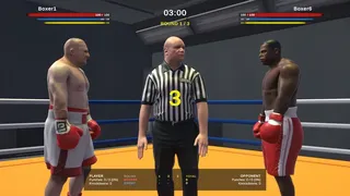 Heavyweight Bout