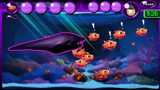 Fish Go Brrr!