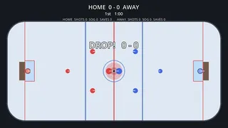 Hockey Game