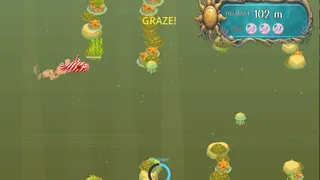 RIPGRAZE