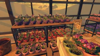 Greenhouse: Tidy Up!
