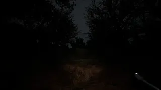 Скриншот 5 к игре ARETIAS: Cursed Island