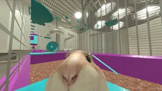 Never Stop Climbing